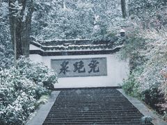 -虎跑公园