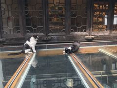 -猫的天空之城概念书店(杭州南宋御街店)