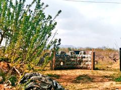 -亲兄弟真人CS团建拓展基地