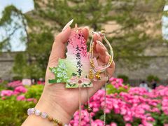 -大慈恩寺(大雁塔)