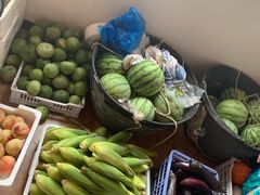 -南汇新场正宗水蜜桃采摘