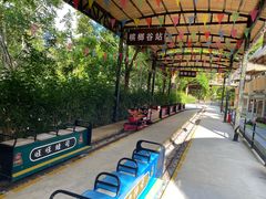-海南槟榔谷黎苗文化旅游区