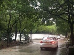 -安飞驰驾校·学车连锁(金高店)