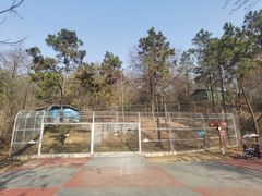 -安徽大青山野生动物世界