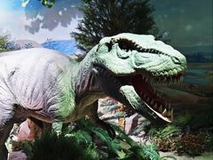 -国家自然博物馆