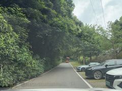-广州市帽峰山景区