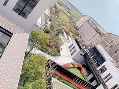 -上海崇明金茂凯悦酒店