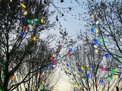 -南宫五洲植物乐园