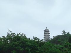 -深圳国际园林花卉博览园