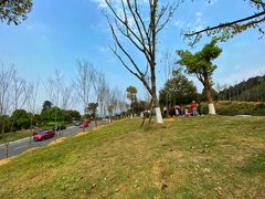 -铁山坪森林公园