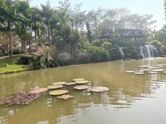 -中国科学院西双版纳热带植物园