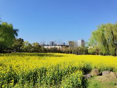 -大宁公园