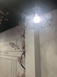 点击看大图 -Ly形象设计