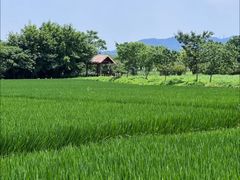 -良渚古城遗址公园
