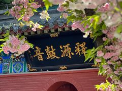-洛阳白马寺