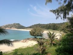 -广东惠东海龟国家级自然保护区