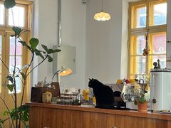 -春风十里咖啡馆