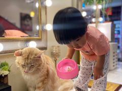 -猫小院猫主题餐厅(南锣旗舰店)