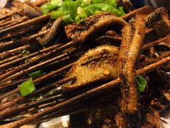 鳝鱼-晓靖轩烧烤(沙河风情店)