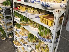 -万商花鸟市场
