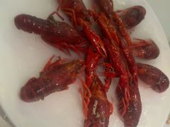 -红盔甲·小龙虾(天钥桥店)