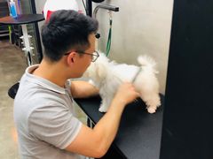 -PETKIT小佩宠物·低压洗护(国顺东路店)