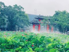 -四川大学(望江校区)