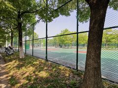 -南京奥林匹克体育中心-体育馆