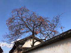 -妈妈的味道·腾冲特色菜(和顺古镇店)