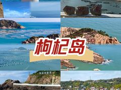 -枸杞岛