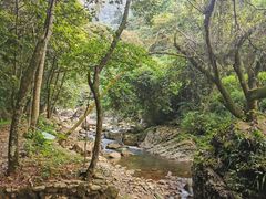 -广州市石门国家森林公园