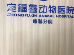 -宠福鑫康馨动物医院·骨科·眼科