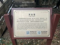 -灵谷景区