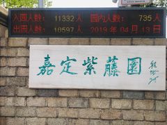 -嘉定紫藤园