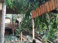-海南槟榔谷黎苗文化旅游区