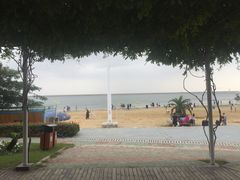 -碧海金沙