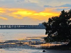 -宝安西湾红树林湿地公园