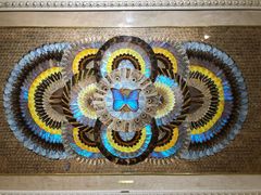 -上海昆虫博物馆