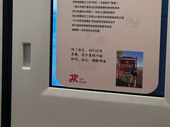 -大望路(地铁站)