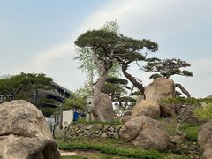 -罗红摄影艺术馆