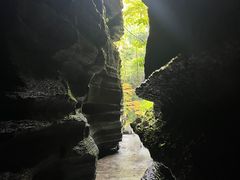 -梭布垭石林景区