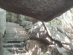 -鲁山国家森林公园