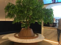 -CoCo都可(中联广场店)