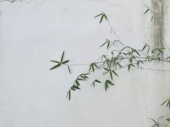 -沧浪亭