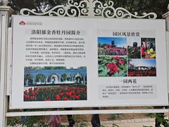 -洛阳郁金香牡丹园