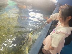 -苏州海洋馆