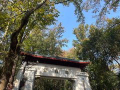 -岳麓山风景名胜区