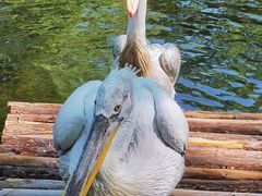 -济南野生动物世界