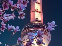 -东方明珠广播电视塔