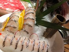 龙趸-尚海豆捞(乐虹坊店)